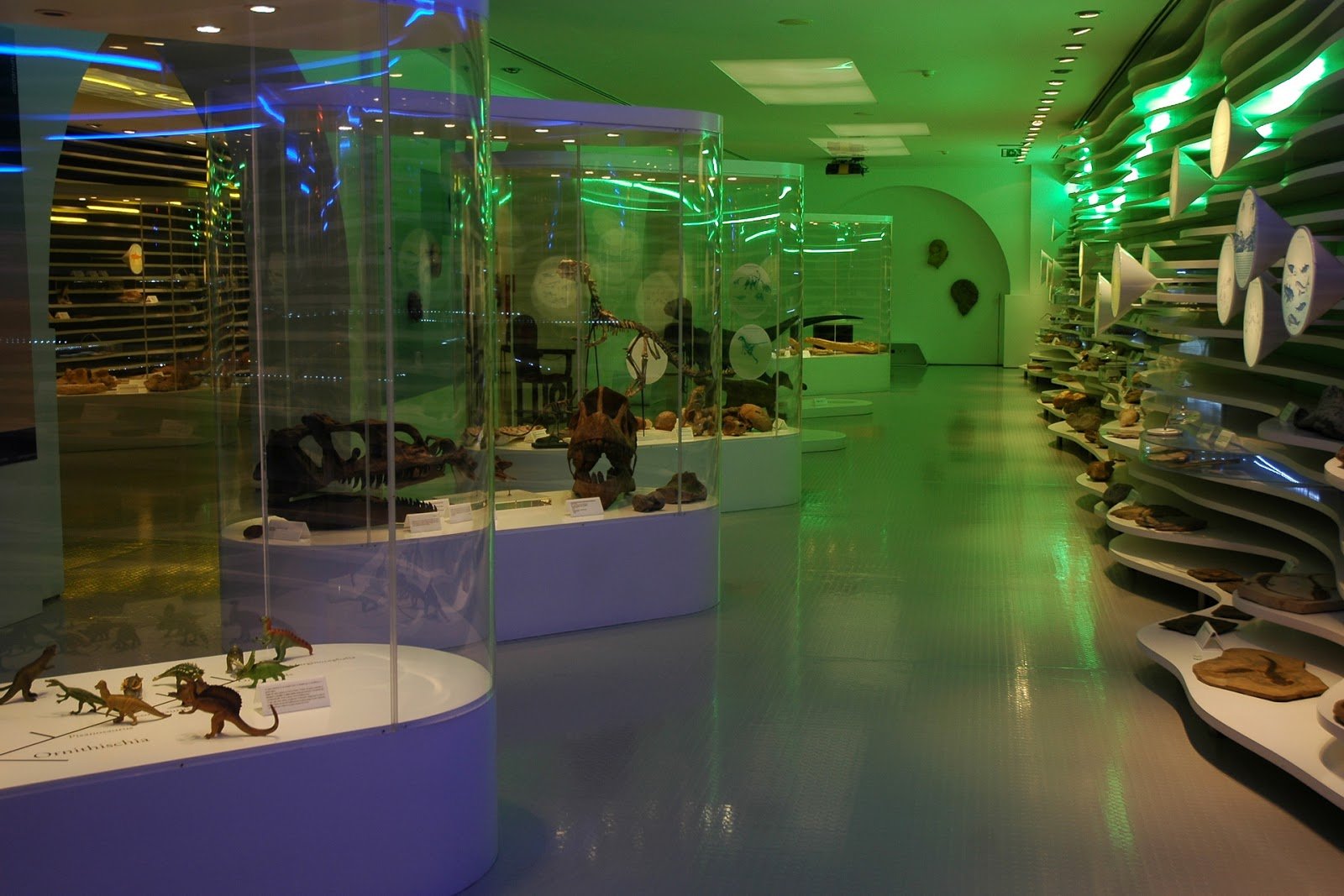 музей естественных наук